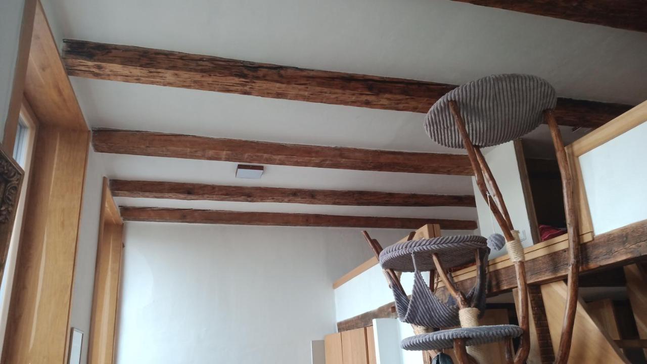 Ferienwohnung Bydleni V Centru Ov Blizko Stodolni, Bez Vytahu Ostrava Exterior foto