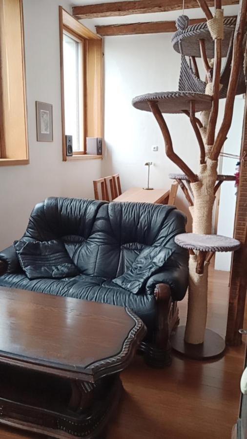 Ferienwohnung Bydleni V Centru Ov Blizko Stodolni, Bez Vytahu Ostrava Exterior foto