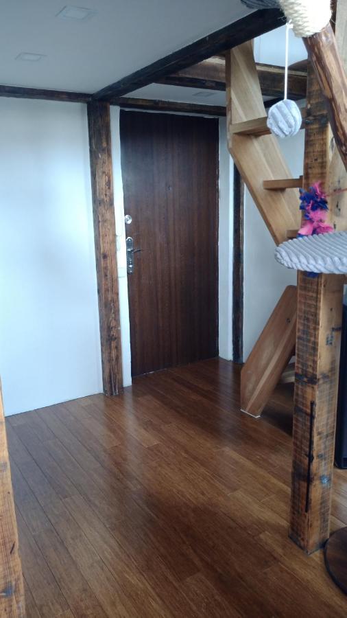 Ferienwohnung Bydleni V Centru Ov Blizko Stodolni, Bez Vytahu Ostrava Exterior foto